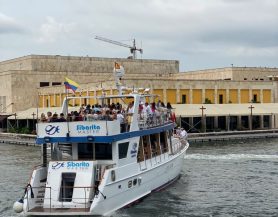 WhatsApp Image 2024-06-17 at 6.04.02 PM WhatsApp Image 2024-06-17 at 6.04.02 PM