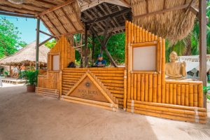 PISTA DE BAILE AREA CLUB