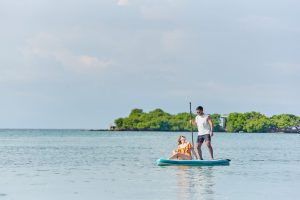 11 CO PADDLE B