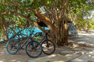 11 ECO BIKE