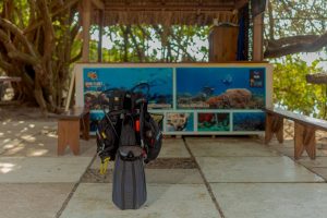 12 DIVING