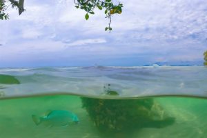 DCIM100GOPROGOPR0921.JPG