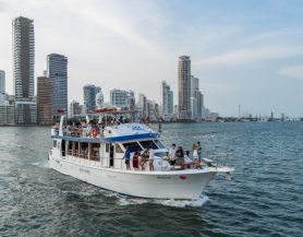 WhatsApp Image 2025-06-23 at 10.17.49 AM WhatsApp Image 2025-06-23 at 10.17.49 AM