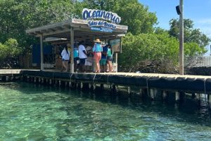 WhatsApp Image 2025-07-07 at 6.18.49 PM (1)