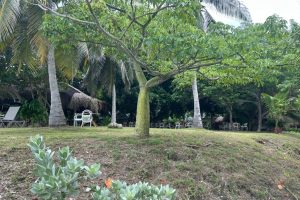 WhatsApp Image 2025-09-22 at 8.40.07 AM (2) WhatsApp Image 2025-09-22 at 8.40.07 AM (2)