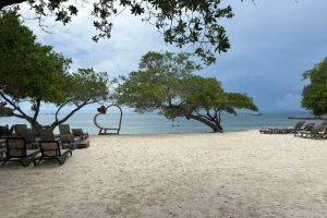 WhatsApp Image 2025-09-22 at 8.40.08 AM (1) WhatsApp Image 2025-09-22 at 8.40.08 AM (1)