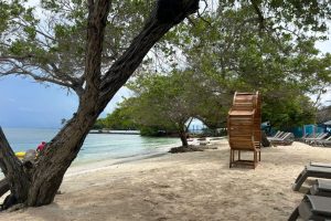 WhatsApp Image 2025-09-22 at 8.40.08 AM (3) WhatsApp Image 2025-09-22 at 8.40.08 AM (3)