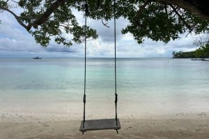 WhatsApp Image 2025-09-22 at 8.40.10 AM (1) WhatsApp Image 2025-09-22 at 8.40.10 AM (1)