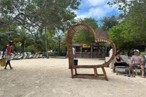 WhatsApp Image 2025-09-22 at 8.40.10 AM (2) WhatsApp Image 2025-09-22 at 8.40.10 AM (2)