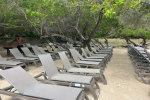 WhatsApp Image 2025-09-22 at 8.40.11 AM WhatsApp Image 2025-09-22 at 8.40.11 AM