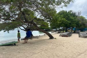 WhatsApp Image 2025-09-22 at 8.40.11 AM (4) WhatsApp Image 2025-09-22 at 8.40.11 AM (4)