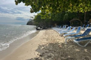 WhatsApp Image 2025-09-26 at 6.52.14 AM (10) WhatsApp Image 2025-09-26 at 6.52.14 AM (10)