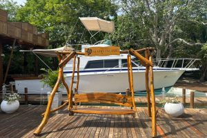 WhatsApp Image 2025-09-26 at 6.52.14 AM (11) WhatsApp Image 2025-09-26 at 6.52.14 AM (11)