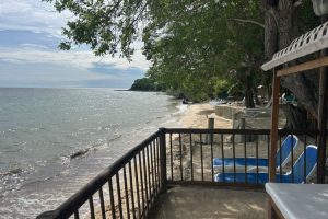 WhatsApp Image 2025-09-26 at 6.52.14 AM WhatsApp Image 2025-09-26 at 6.52.14 AM