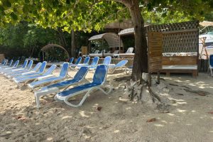 WhatsApp Image 2025-09-26 at 6.52.14 AM (9) WhatsApp Image 2025-09-26 at 6.52.14 AM (9)