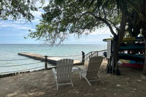 WhatsApp Image 2025-09-26 at 6.52.15 AM (1) WhatsApp Image 2025-09-26 at 6.52.15 AM (1)