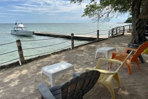 WhatsApp Image 2025-09-26 at 6.52.15 AM (3) WhatsApp Image 2025-09-26 at 6.52.15 AM (3)