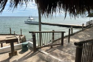 WhatsApp Image 2025-09-26 at 6.52.15 AM (6) WhatsApp Image 2025-09-26 at 6.52.15 AM (6)