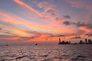 46f55605-24bc-4146-a49c-00bef155b6b9 46f55605-24bc-4146-a49c-00bef155b6b9