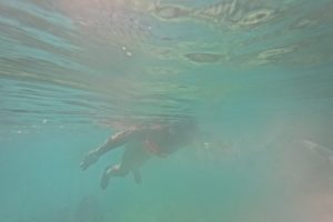 DCIM101GOPROGP019928.JPG DCIM101GOPROGP019928.JPG