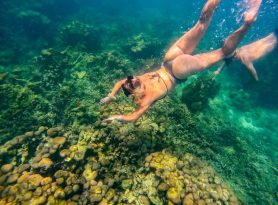 5-islas-vip-5 5-islas-vip-5