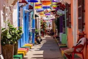 WhatsApp Image 2026-03-20 at 3.11.46 PM WhatsApp Image 2026-03-20 at 3.11.46 PM