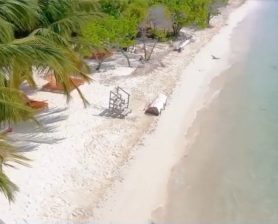 WhatsApp Image 2026-03-21 at 8.25.28 PM