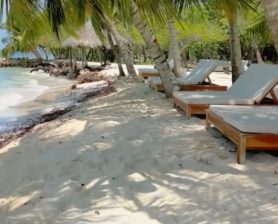 WhatsApp Image 2026-03-21 at 8.25.45 PM