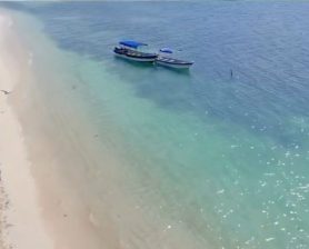 WhatsApp Image 2026-03-21 at 8.26.08 PM