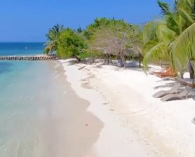 WhatsApp Image 2026-03-21 at 8.28.30 PM