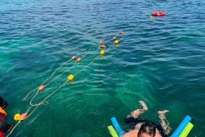 WhatsApp Image 2026-03-28 at 2.54.10 PM