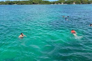 WhatsApp Image 2026-03-28 at 3.00.54 PM (4) WhatsApp Image 2026-03-28 at 3.00.54 PM (4)