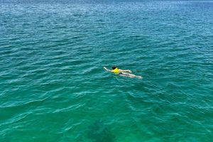 WhatsApp Image 2026-03-28 at 3.00.57 PM (4) WhatsApp Image 2026-03-28 at 3.00.57 PM (4)