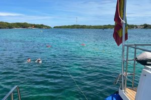 WhatsApp Image 2026-03-28 at 3.00.58 PM (1) WhatsApp Image 2026-03-28 at 3.00.58 PM (1)