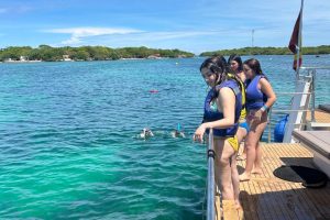 WhatsApp Image 2026-03-28 at 3.00.58 PM WhatsApp Image 2026-03-28 at 3.00.58 PM