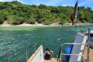 WhatsApp Image 2026-03-28 at 3.00.59 PM (1) WhatsApp Image 2026-03-28 at 3.00.59 PM (1)