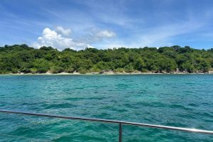 WhatsApp Image 2026-03-28 at 3.00.59 PM WhatsApp Image 2026-03-28 at 3.00.59 PM