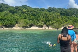 WhatsApp Image 2026-03-28 at 3.00.59 PM (3) WhatsApp Image 2026-03-28 at 3.00.59 PM (3)