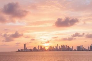 1766417005607 1766417005607