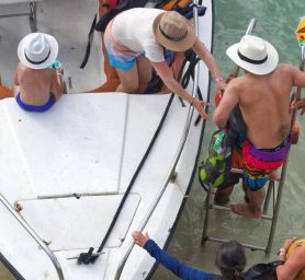 WhatsApp Image 2026-04-18 at 4.00.34 PM (3) WhatsApp Image 2026-04-18 at 4.00.34 PM (3)