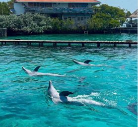 WhatsApp Image 2026-04-18 at 4.00.35 PM (2)