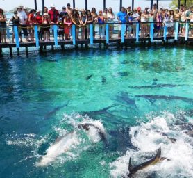 WhatsApp Image 2026-04-18 at 4.00.35 PM (3)