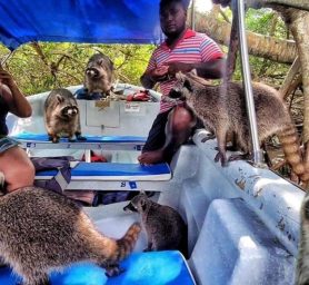 WhatsApp Image 2026-04-18 at 4.00.35 PM (4) WhatsApp Image 2026-04-18 at 4.00.35 PM (4)