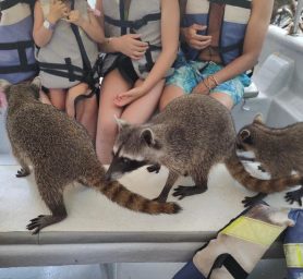 WhatsApp Image 2026-04-18 at 4.00.35 PM (5) WhatsApp Image 2026-04-18 at 4.00.35 PM (5)