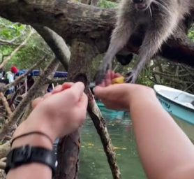 WhatsApp Image 2026-04-18 at 4.00.35 PM (6) WhatsApp Image 2026-04-18 at 4.00.35 PM (6)