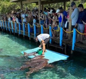 WhatsApp Image 2026-04-18 at 4.08.01 PM