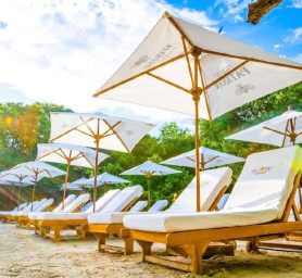 WhatsApp Image 2026-05-21 at 9.22.33 PM WhatsApp Image 2026-05-21 at 9.22.33 PM