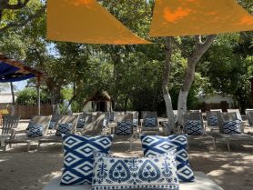 Dharma_Beach_Club_2025_20